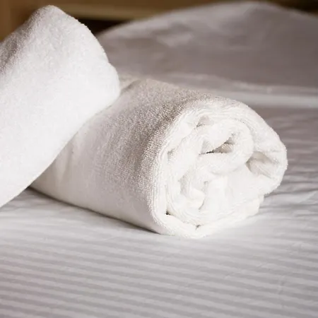 Ambassador Sołotwyno