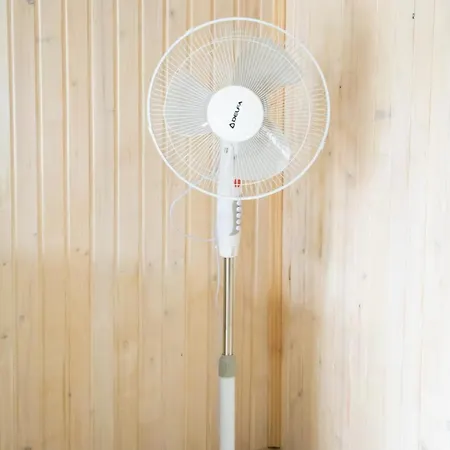 Ambassador * Sołotwyno