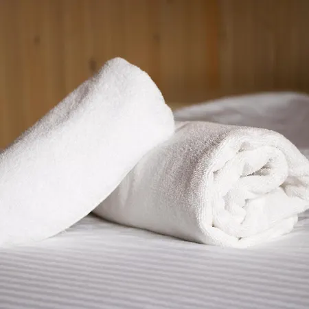 Ambassador Otel Solotvyno