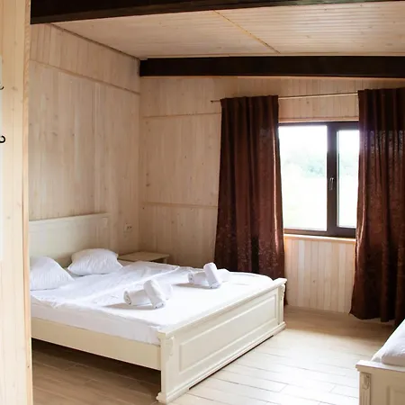 Ambassador Otel Solotvyno